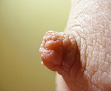 763_1628.jpg