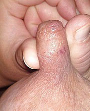 267_1000.jpg