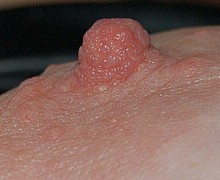 763_1117.jpg