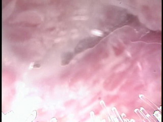 inside pussy