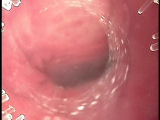 amazing pussy video