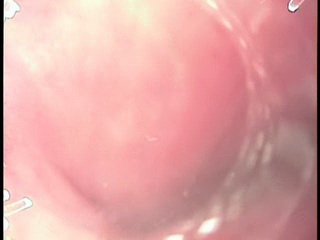 amazing pussy video