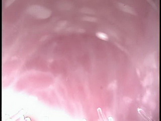 inside pussy