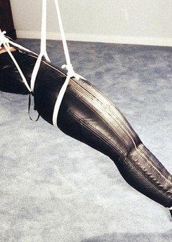 THE UNIVERSE OF BDSM 