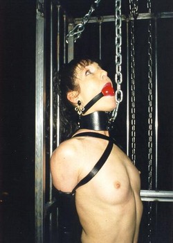 THE UNIVERSE OF BDSM 