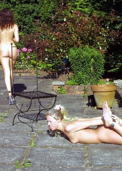 THE UNIVERSE OF BDSM 