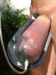cock30.jpg