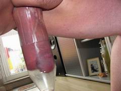cock02.jpg
