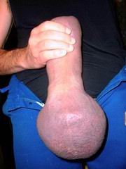 aa44.jpg