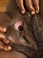 pussygape172.jpg