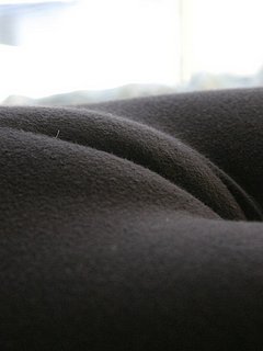 57348458.jpg