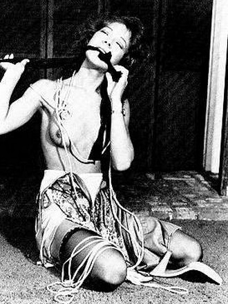 vintage bdsm
