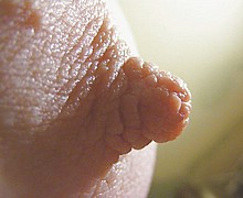 763_1378.jpg