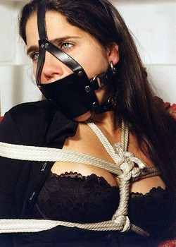 THE UNIVERSE OF BDSM 
